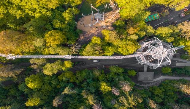 Baumwipfelpfad Harz Ansicht von oben aus der Luft